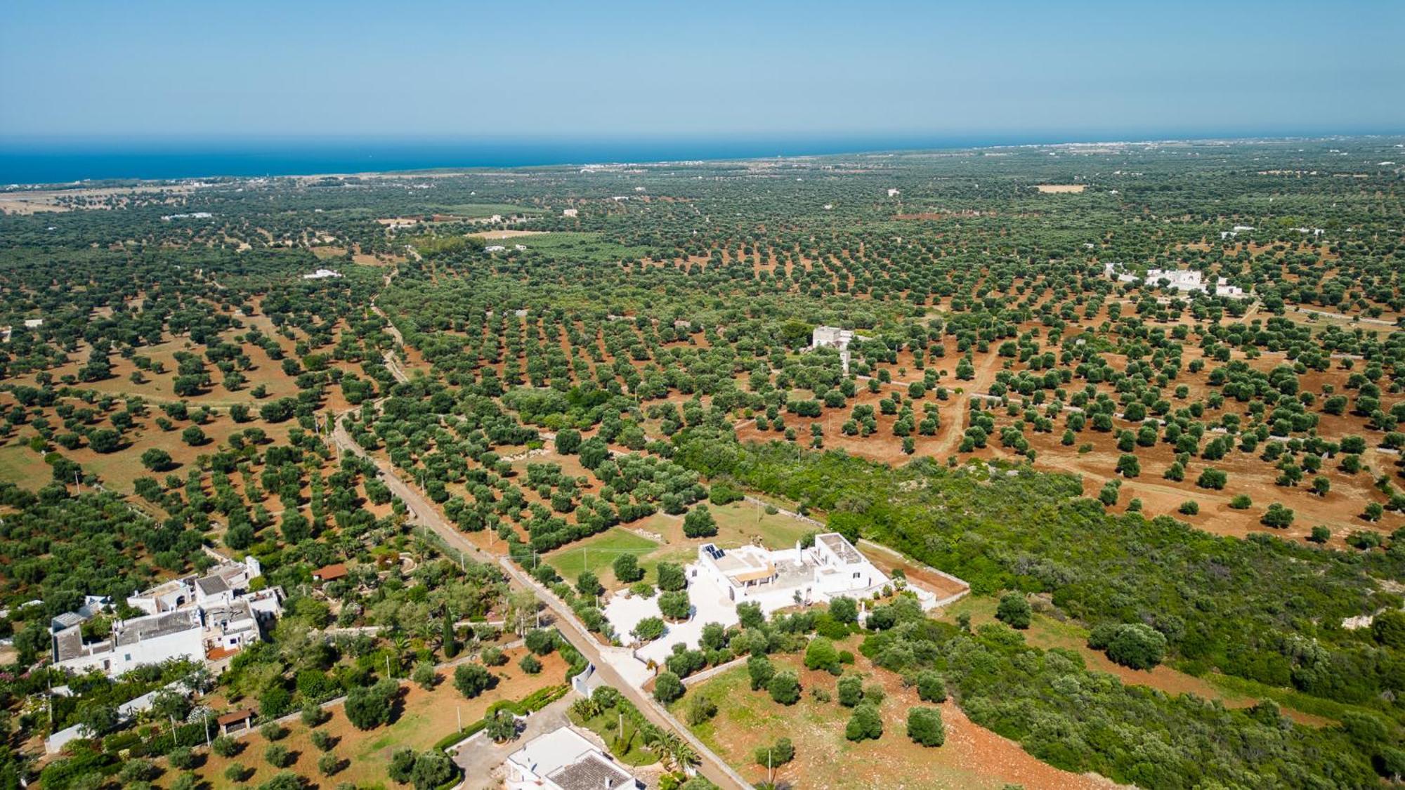 Masseria Abadia Uno Ostuni Exterior foto