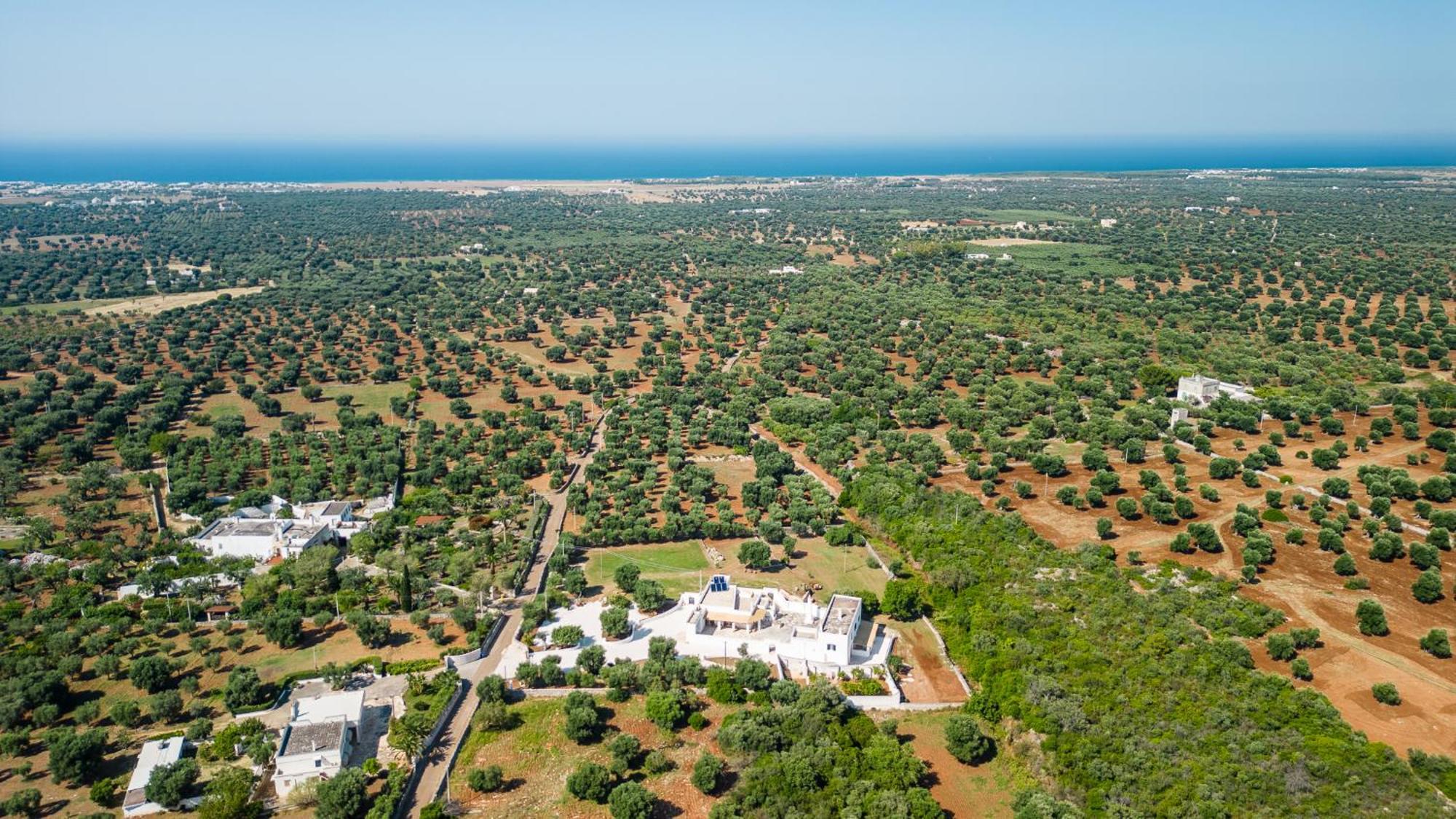 Masseria Abadia Uno Ostuni Exterior foto